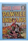 White Chief of the Pawnee Indians  GD-